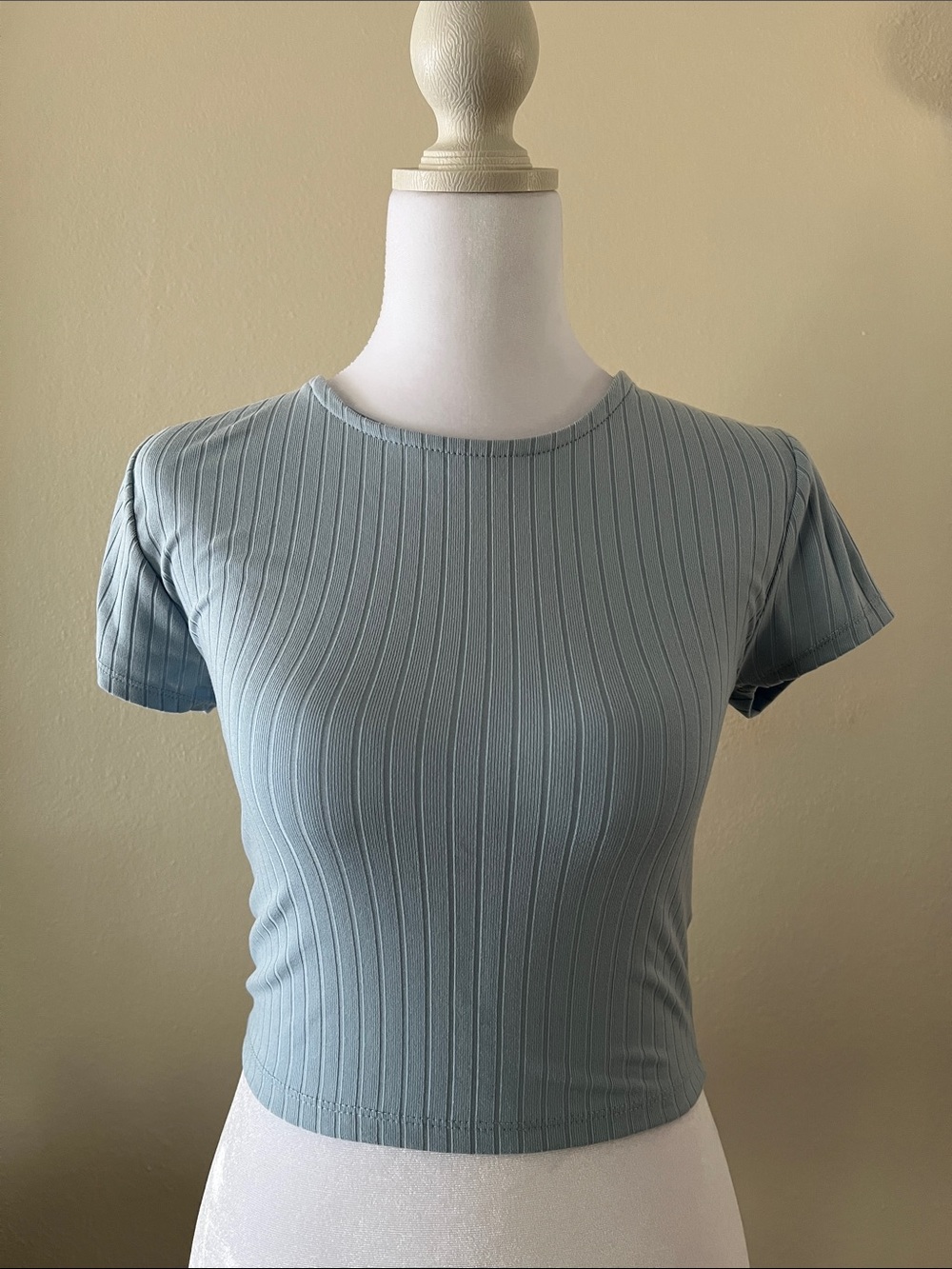 Ribbed Short Sleeve Crop Top - Light Blue